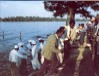 Baptism at Lake Providence, Louisiana