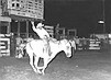 Bronc Riding At A Sabine Parish Rodeo