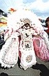 Mardi Gras Indian