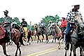 Creole Trail Ride