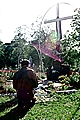 Our Lady of Tickfaw