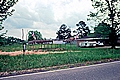 Brush Arbor