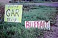 Gar and Buffalo Fish