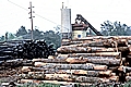 Timber Yard, Zwolle, Sabine Parish