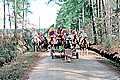 Elton Cajun Mardi Gras, 1993