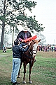 L'Anse Maigre Mardi Gras, 1994