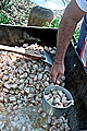 Making Cracklins