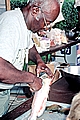 Fish Fry