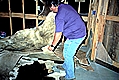 Joe Soileau, Cowhide Chair Bottoms