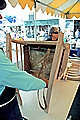 Cowhide Chair Bottoms