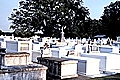 Cemetery in St. Martinville.