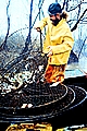 Hoop Net