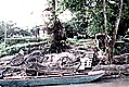 Atchafalaya Fisherman