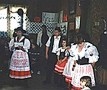 Czech Heritage Center