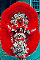 Mardi Gras Indian Costume, Adult