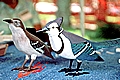 Song bird carvings