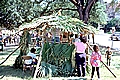 Building a Palmetto House