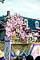 Zulu Queen, 1999