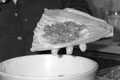 Guatemalan Tamales