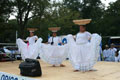 Latino Music and Dance