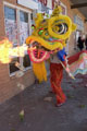Tet Festival