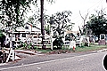 Yard Art