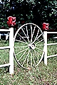 Fence in Ruston