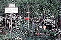 Walter's Park