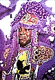 Wild Magnolias Mardi Gras Indians