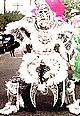 Fi-Yi-Yi Mardi Gras Indians