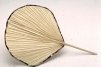Open Frond Palmetto Fan