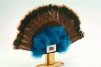 Wild Turkey Tail Fan