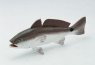 Carved Wood Redfish