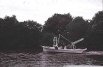 Trawling for Shrimp