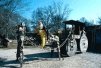 Yard in Prairieville, Ascension Parish