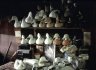 Duck Decoy Workshop, All Muller