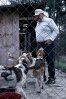 Fox Hunting Dogs