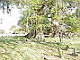 Holt Cemetery
