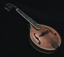 Mandolin