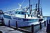 <I>Cap'n Bozo</I>, South Atlantic Trawler, Docked in Cameron, July 10, 1981