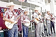 Grey Eagles Stringband