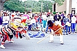 Vietnamese New Year's Dragon Dance