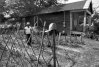 Urban Gardening