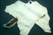 Tanned Deer Hide