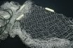 Trammel Net