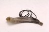 Hunting Horn