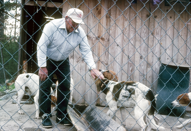 coyote hound breeds