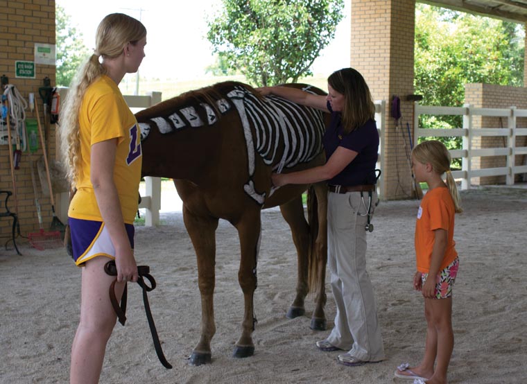 lsu vet school tour