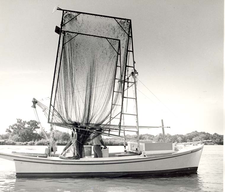 Shrimping in Louisiana: Overview of a Tradition